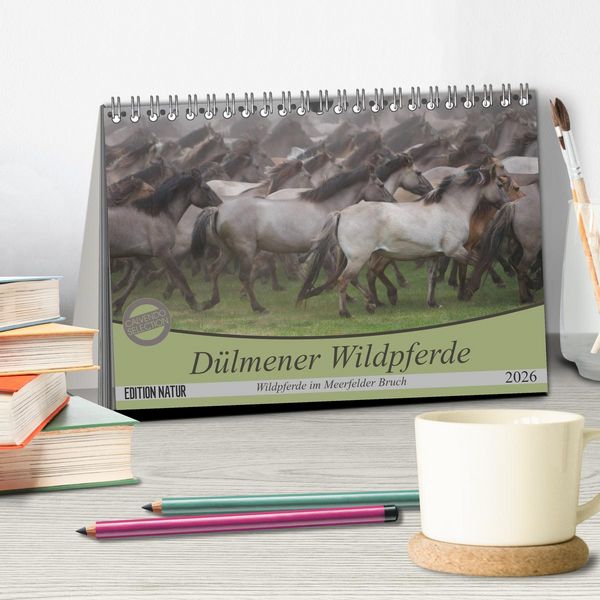 Produktbild: D&uuml;lmener Wildpferde - Wildpferde im Meerfelder Bruch (Tischkalender 2026 DIN A5 quer), CALVENDO Monatskalender