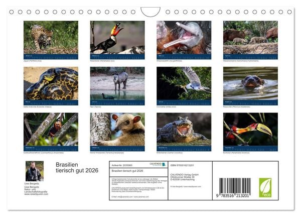 Produktbild: Brasilien tierisch gut 2026 (Wandkalender 2026 DIN A4 quer), CALVENDO Monatskalender
