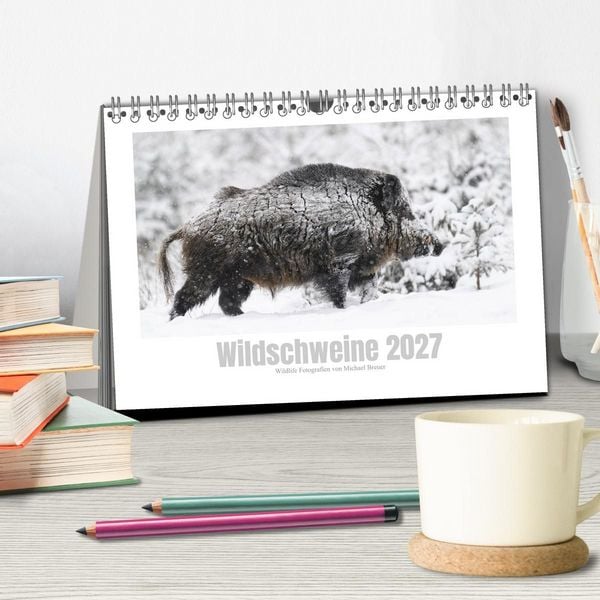 Produktbild: Wildschweine &ndash; Wildlife Fotografien (Tischkalender 2027 DIN A5 quer), CALVENDO Monatskalender