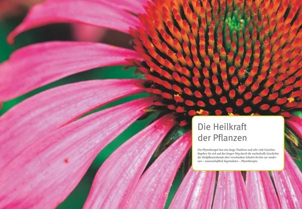 Produktbild: Gr&uuml;ne Apotheke
