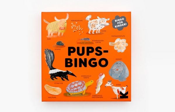 Produktbild: Pups-Bingo