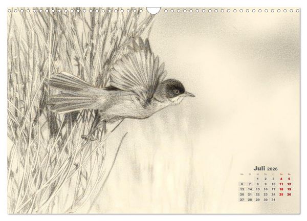 Produktbild: Wilde Seelen - Tierische Momente in Graphit (Wandkalender 2026 DIN A3 quer), CALVENDO Monatskalender