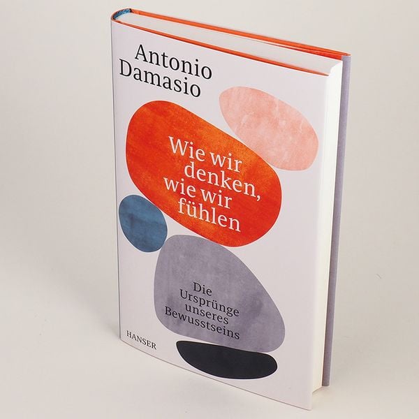 Produktbild: Wie wir denken, wie wir f&uuml;hlen