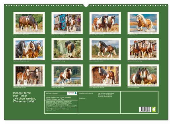 Produktbild: Irlands Pferde. Irish Tinker zwischen Weiden, Wasser und Wald (Wandkalender 2027 DIN A2 quer), CALVENDO Monatskalender