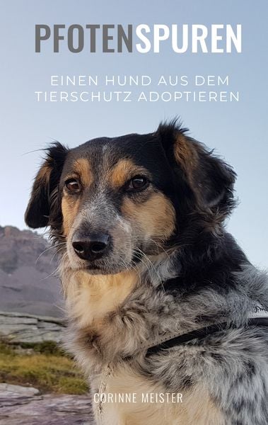 Produktbild: Pfotenspuren