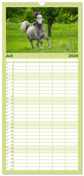 Produktbild: Familienplaner 2026 - Welt der Pferde mit 5 Spalten (Wandkalender, 21 x 45 cm) CALVENDO