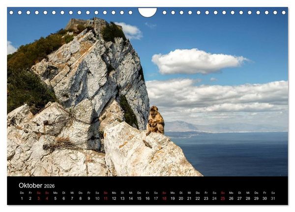Produktbild: Gibraltar - der Affenfelsen (Wandkalender 2026 DIN A4 quer), CALVENDO Monatskalender