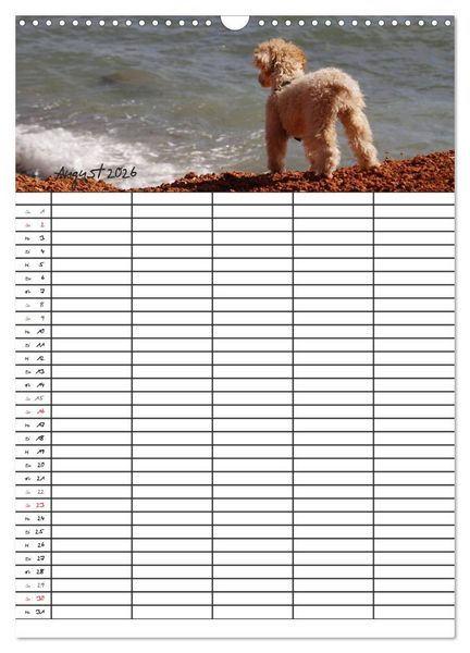 Produktbild: Der Pudel-Familienplaner (Wandkalender 2026 DIN A3 hoch), CALVENDO Monatskalender