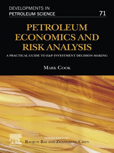 Produktbild: Petroleum Economics and Risk Analysis