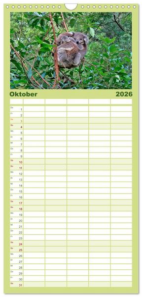 Produktbild: Familienplaner 2026 - Koala - kleiner Teddy mit 5 Spalten (Wandkalender, 21 x 45 cm) CALVENDO