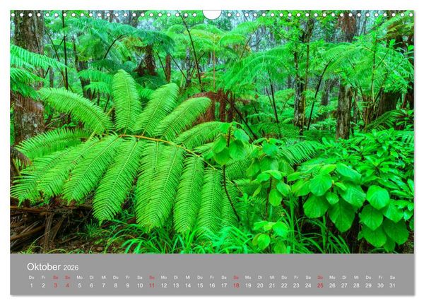 Produktbild: SPIRIT OF HAWAII (Wandkalender 2026 DIN A3 quer), CALVENDO Monatskalender