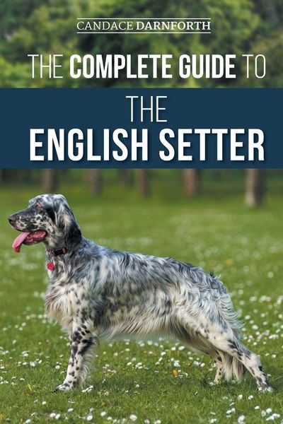 Produktbild: The Complete Guide to the English Setter
