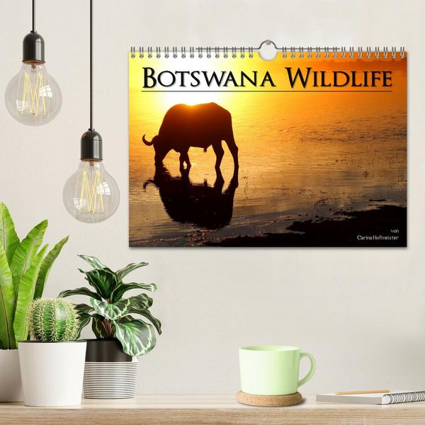 Produktbild: Botswana Wildlife (Wandkalender 2026 DIN A4 quer), CALVENDO Monatskalender