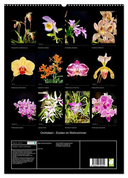 Produktbild: Orchideen - Exoten im Wohnzimmer (hochwertiger Premium Wandkalender 2026 DIN A2 hoch), Kunstdruck in Hochglanz