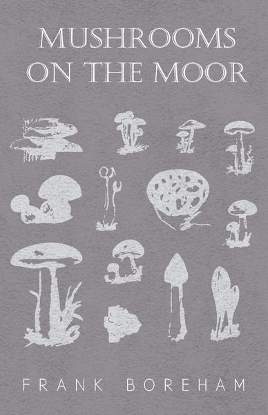 Produktbild: Mushrooms on the Moor