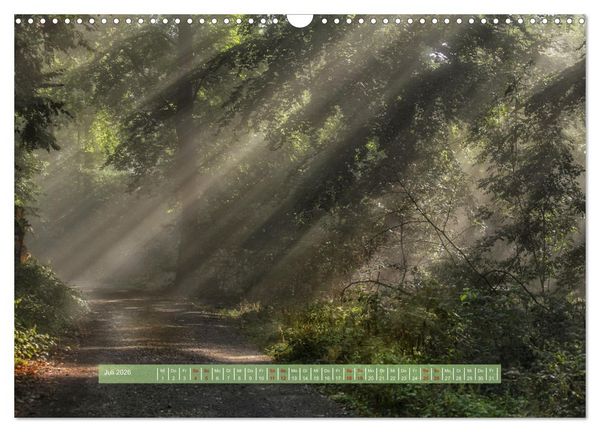 Produktbild: Zauber des Lichts (Wandkalender 2026 DIN A3 quer), CALVENDO Monatskalender