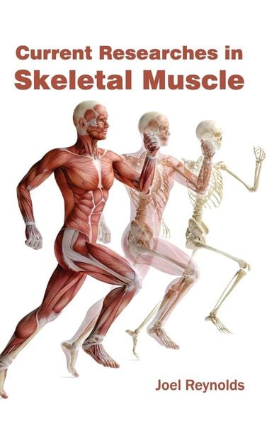 Produktbild: Current Researches in Skeletal Muscle