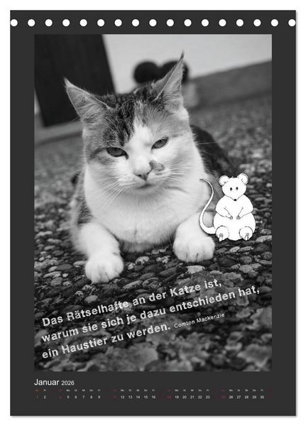 Produktbild: Katz & Maus (Tischkalender 2026 DIN A5 hoch), CALVENDO Monatskalender