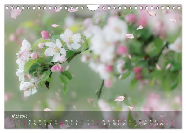 Produktbild: Zauberhaftes Norderstedt (Wandkalender 2026 DIN A4 quer), CALVENDO Monatskalender