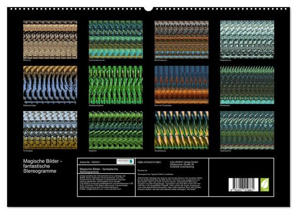 Produktbild: Magische Bilder - fantastische Stereogramme (hochwertiger Premium Wandkalender 2026 DIN A2 quer), Kunstdruck in Hochglanz
