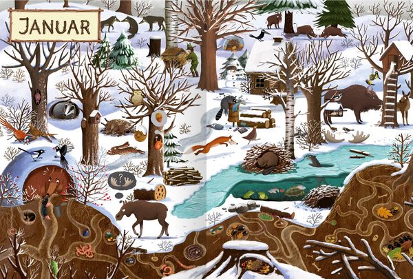 Produktbild: Ein Jahr im Wald