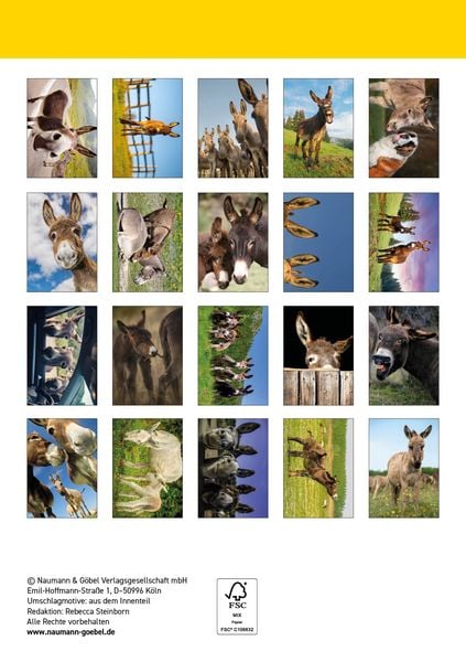 Produktbild: Postkartenblock Esel