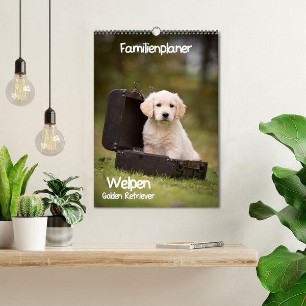 Produktbild: Familienplaner: Golden Retriever Welpen (Wandkalender 2026 DIN A3 hoch), CALVENDO Monatskalender
