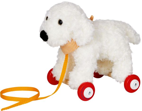 Produktbild: Goldendoodle Daisy auf Holzrollen - Lustige Tierparade