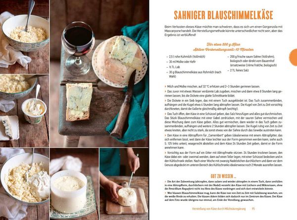 Produktbild: K&ouml;stlicher K&auml;se einfach hausgemacht
