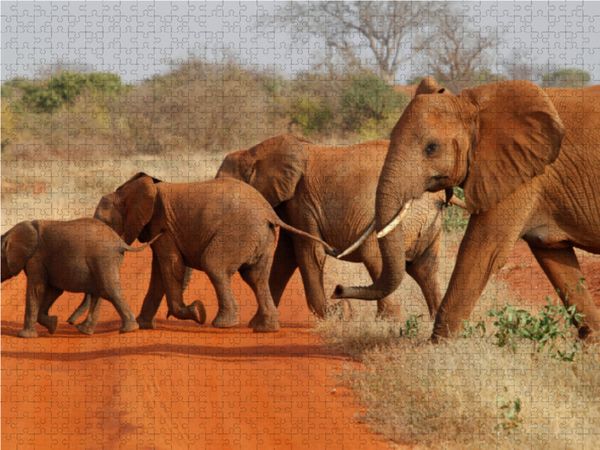 Produktbild: CALVENDO Puzzle Elefanten - Parade 1000 Teile Lege-Gr&ouml;&szlig;e 64 x 48 cm Foto-Puzzle Bild von Michael Herzog