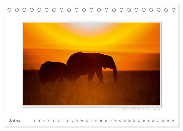Produktbild: Emotionale Momente: Aus dem Leben der Elefanten. / CH-Version (Tischkalender 2026 DIN A5 quer), CALVENDO Monatskalender
