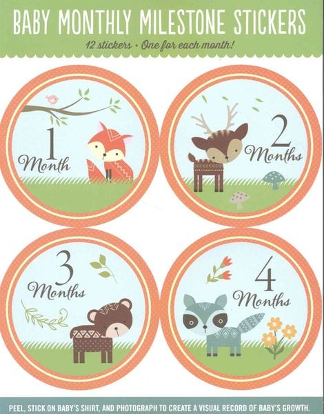 Produktbild: Babys Monthly Milestone Sticke