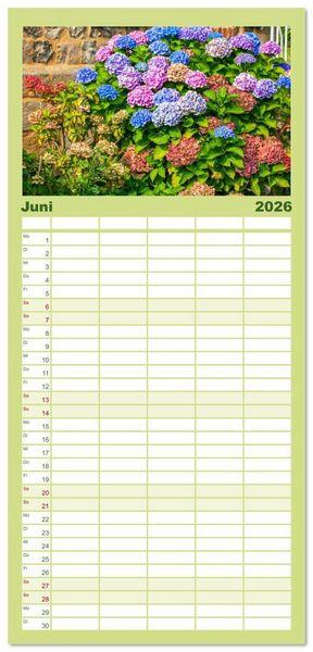 Produktbild: Familienplaner 2026 - Ein Hortensientraum mit 5 Spalten (Wandkalender, 21 x 45 cm) CALVENDO