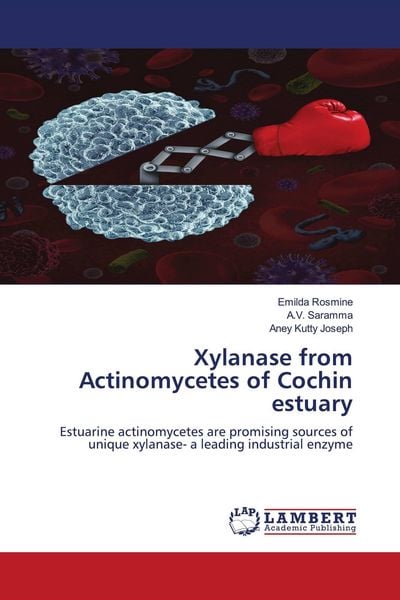 Produktbild: Xylanase from Actinomycetes of Cochin estuary