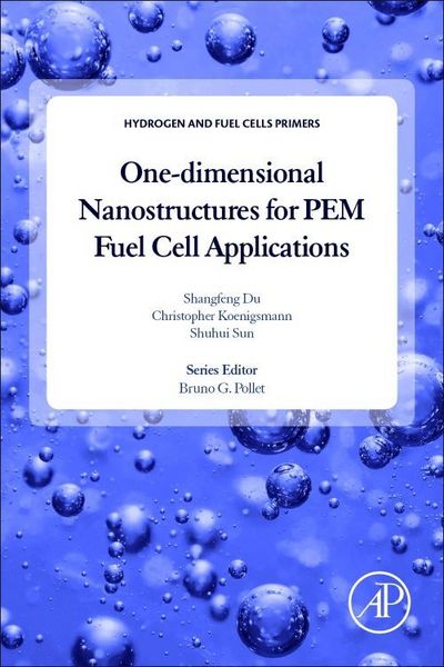 Produktbild: One-Dimensional Nanostructures for Pem Fuel Cell Applications
