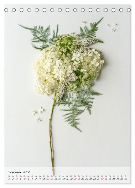 Produktbild: Zauberbl&uuml;ten (Tischkalender 2027 DIN A5 hoch), CALVENDO Monatskalender