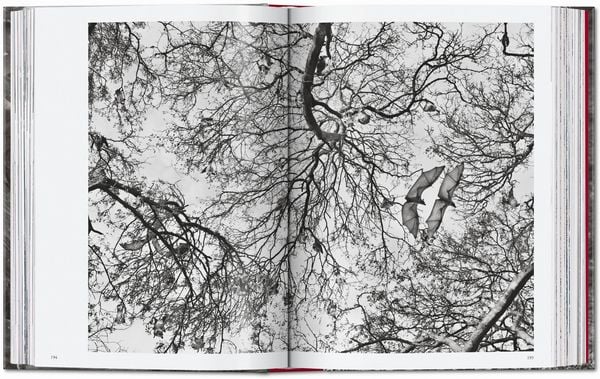 Produktbild: Sebasti&atilde;o Salgado