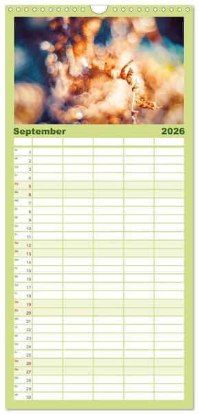 Produktbild: Familienplaner 2026 - Farne vom Licht umtanzt mit 5 Spalten (Wandkalender, 21 x 45 cm) CALVENDO