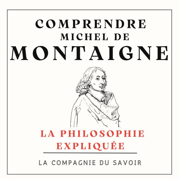Produktbild: Comprendre Michel De Montaigne