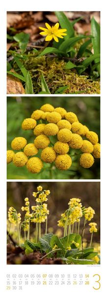 Produktbild: NaturZeit Triplet-Kalender 2027