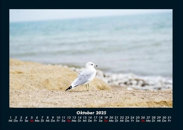 Produktbild: Meereslandschaft 2025 Fotokalender DIN A4
