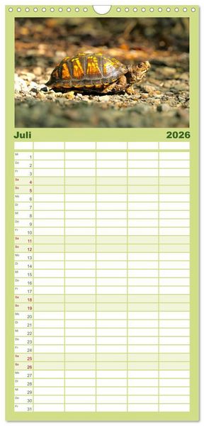 Produktbild: Familienplaner 2026 - Reptilien - Tierische Farbenpracht mit 5 Spalten (Wandkalender, 21 x 45 cm) CALVENDO