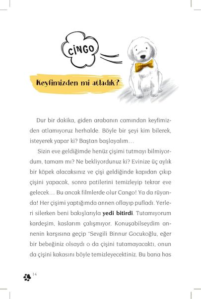 Produktbild: Cingo