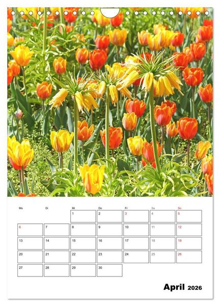 Produktbild: Einzigartiges Heidenheim (Wandkalender 2026 DIN A4 hoch), CALVENDO Monatskalender
