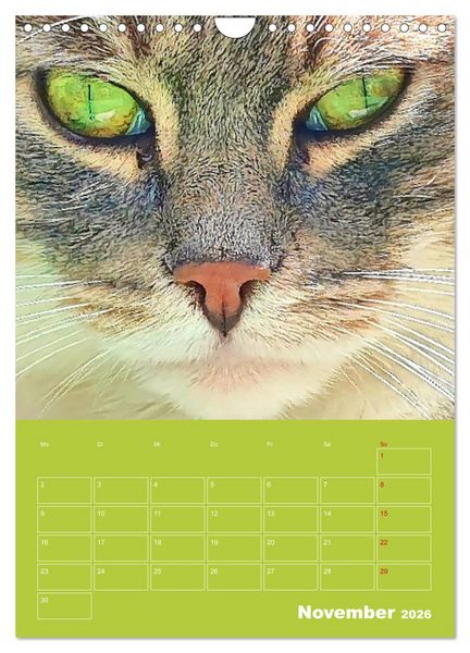 Produktbild: Cat Faces - Charakterstarke Katzengesichter ganz nah (Wandkalender 2026 DIN A4 hoch), CALVENDO Monatskalender