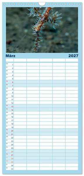 Produktbild: Familienplaner 2027 - Faszination blaue Unterwasserwelt mit 5 Spalten (Wandkalender, 21 x 45 cm) CALVENDO