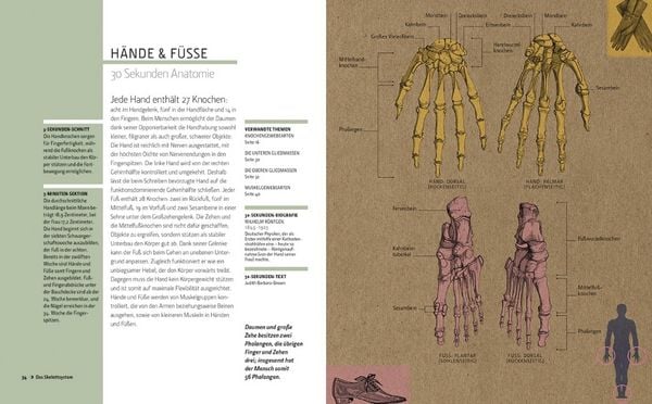 Produktbild: Anatomie in 30 Sekunden