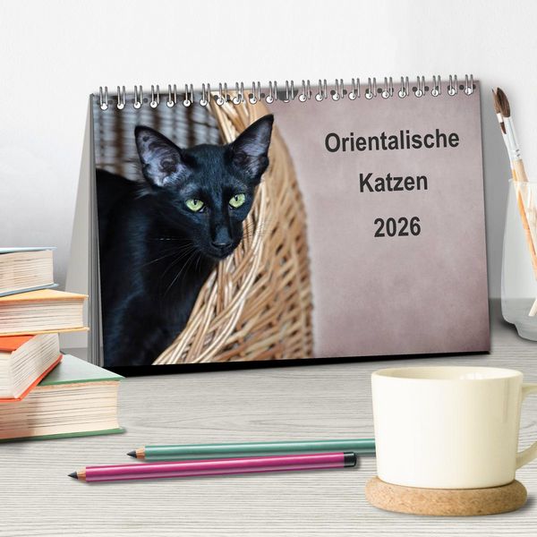 Produktbild: Orientalische Katzen (Tischkalender 2026 DIN A5 quer), CALVENDO Monatskalender