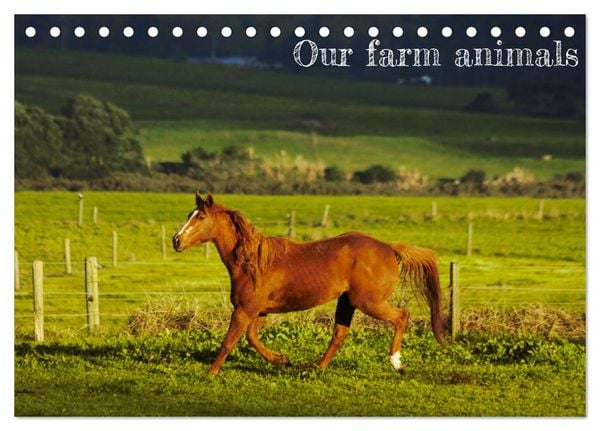 Produktbild: Our farm animals (Desk Calendar 2026 DIN A5 landscape), CALVENDO 12 Month DeskCalendar