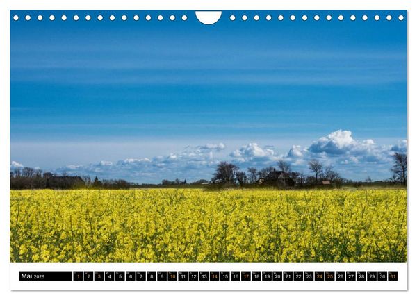 Produktbild: Tr&auml;umende Bilder - Die Nordseehalbinsel Eiderstedt (Wandkalender 2026 DIN A4 quer), CALVENDO Monatskalender